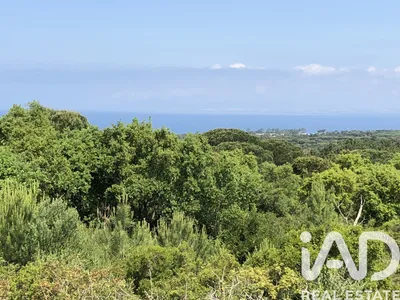 Fotografia 4 de Terreno de 16 500 m² em Sesimbra