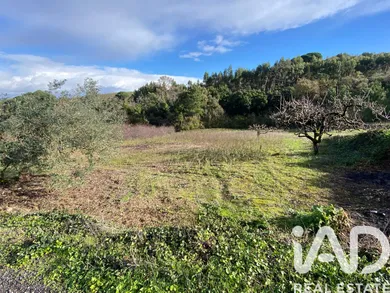 Terreno rústico  em Torres Vedras