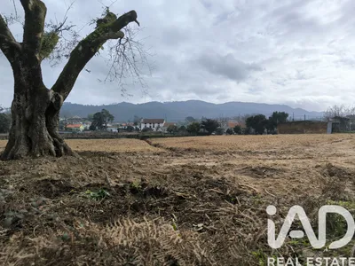 Fotografia 3 de Terreno urbano de 1575 m² em Seara