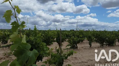 Farm land  in Benfica do Ribatejo