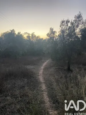 Terreno rústico  em Santa Bárbara de Nexe