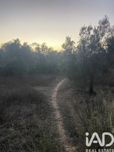Terreno rústico  em Santa Bárbara de Nexe