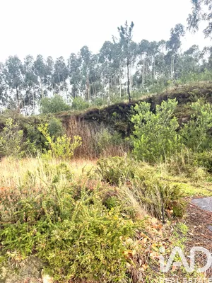 Building plot  in Outeiro