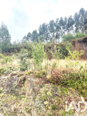 Building plot  in Outeiro