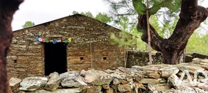 Quinta rural  em Castelo Branco