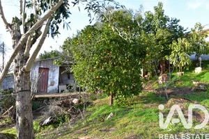Single-storey house  in Chamusca