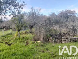 Terreno rústico  em Chãos