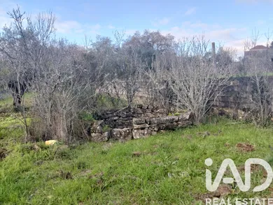 Farm land  in Chãos