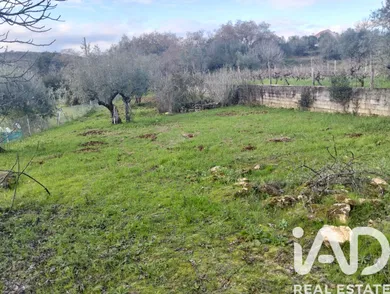 Farm land  in Chãos
