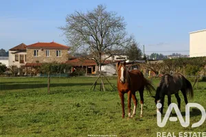 Quinta rural  em Vila de Cucujães