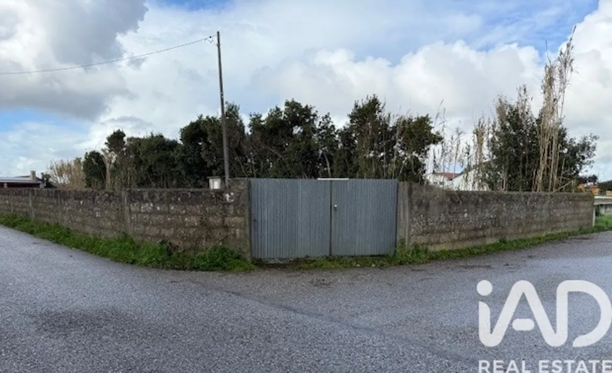 Terreno de 1200 m² em Carvide