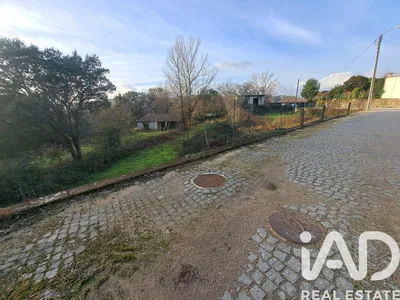Fotografia 3 de Terreno de 12 000 m² em Adaúfe