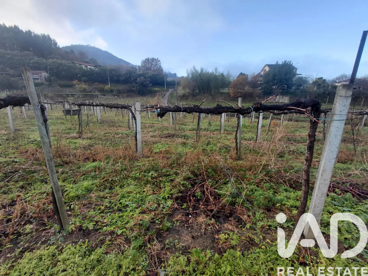 Terreno de 5870 m² em Valadares