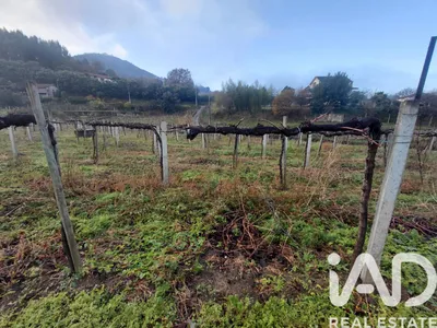 Fotografia 1 de Terreno de 5870 m² em Valadares