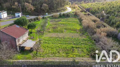 Terreno rústico  em Casal de Cambra
