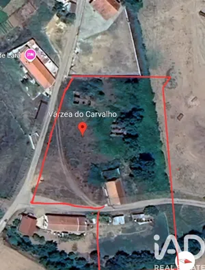 Terreno  em São Teotónio