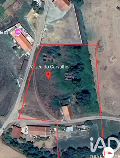 Terreno  em São Teotónio