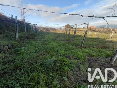 Terrain  à Valadares