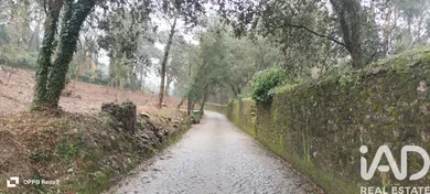 Land  in Fornelo