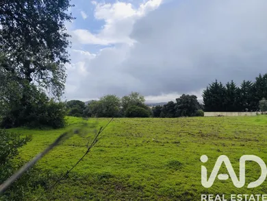 Terreno  em São Brás de Alportel