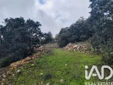 Terreno  em São Brás de Alportel