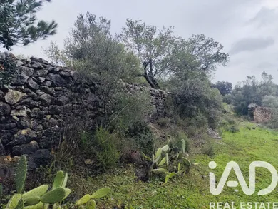 Terreno  em São Brás de Alportel