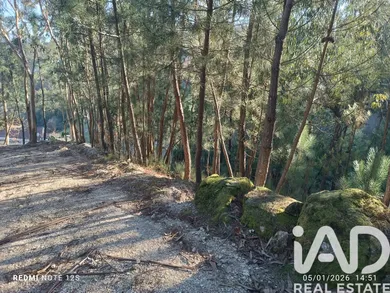Terreno rústico  em Paredes de Viadores
