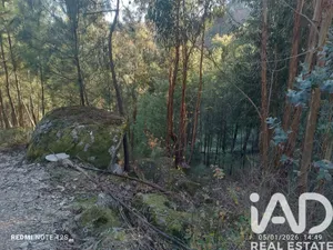 Terreno rústico  em Paredes de Viadores