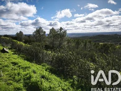 Farm land  in São Miguel do Pinheiro