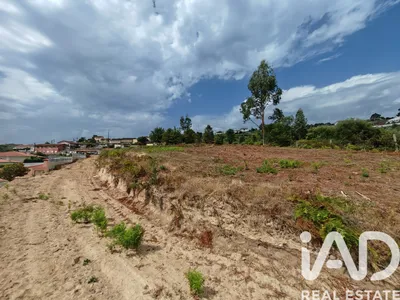 Fotografia 2 de Terreno urbano de 5520 m² em Vila de Cucujães