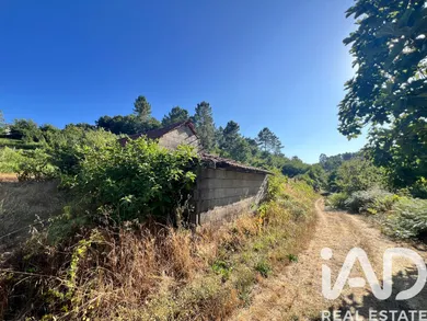 Quinta agrícola em Amarante