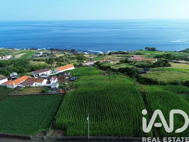 Terreno rústico  em Ribeiras