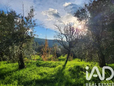 Farm in Souto do Casa, Fundão