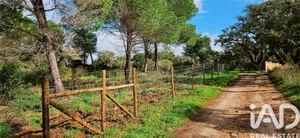 Terreno rústico  em Barão de São João