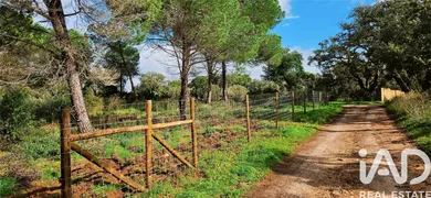 Terreno rústico  em Barão de São João