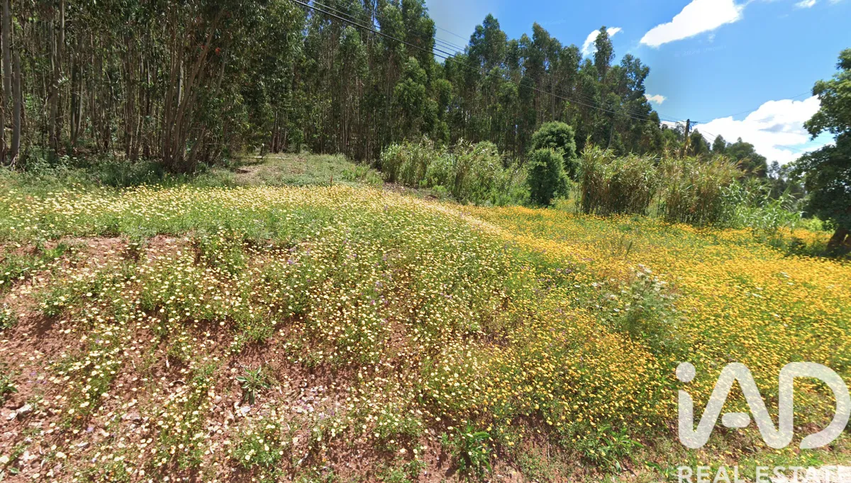 Terreno rústico de 3360 m² em Rio Maior