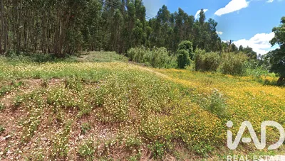 Fotografia 9 de Terreno urbano de 730 m² em Rio Maior
