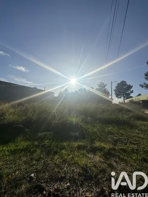 Terreno rústico  em Quinta do Anjo