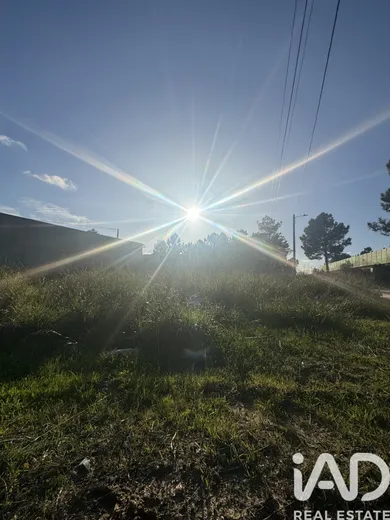 Terreno rústico  em Quinta do Anjo