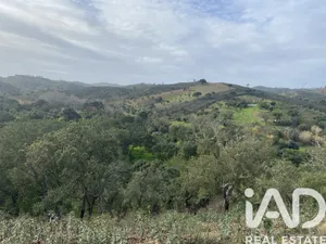Terreno rústico  em São Brás de Alportel
