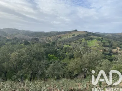 Terreno rústico  em São Brás de Alportel