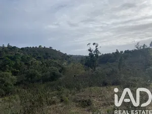 Terreno rústico em São Brás de Alportel