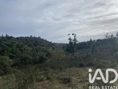 Fotografia 2 de Terreno rústico de 8500 m² em São Brás de Alportel