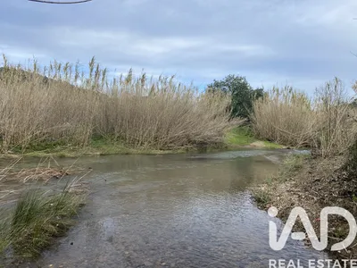 Fotografia 3 de Terreno rústico de 8500 m² em São Brás de Alportel