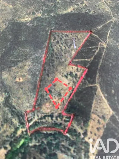 Terrain à São Brás de Alportel