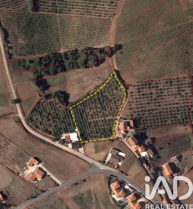Terreno em Vilar
