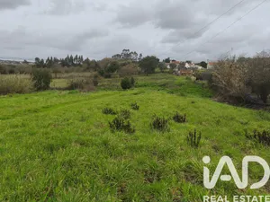 Terreno rústico  em Cela