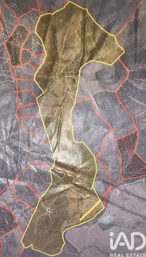 Herdade em Sabóia