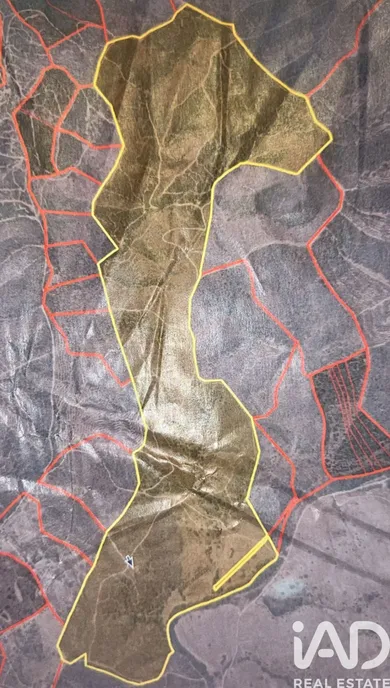 Herdade em Sabóia