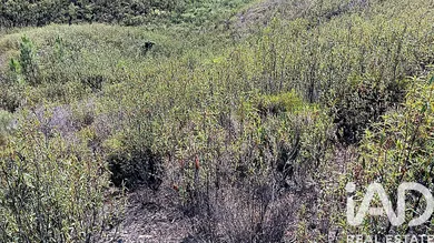 Farm land  in Mação